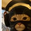 .matcat