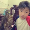danhhoafalcon01