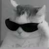 doni_vn1