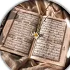 anas.omer63