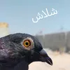 user1315380215146