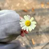 ph_yara