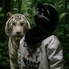 _ykrn256_