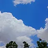 alekurd8