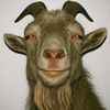 mr.goat.tells