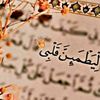 user4470569722201