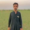 bacha.king62