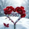 user6803078379715