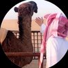 ابن مسلّم الاثلي 𓃵