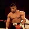 boxing1779boks