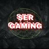 seregaming47