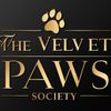 thevelvetpawssociety