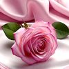 rabia.caglayan2