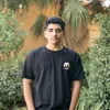 ara_93208
