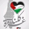 ashraf.elewa5