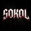 ТГК: SOKOL