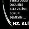 Bir ğarip yolcu.