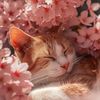 noor.zara54