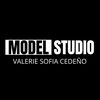 Model Studio VSC