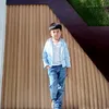 danterosete01