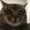 _nichtgamer1