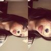 syaftoo_2