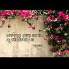 sajjjadhosain1