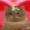 birthdaycatt