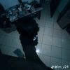 zulllll254