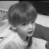 _sall1274