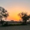 sheraz.sheeraz3