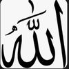 suha.ahmed844