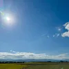 Rinaの青空