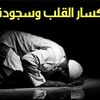 user874519370256