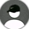 zacker436