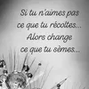 domdess1