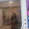 zaa_kitty14
