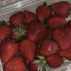 🍓🇲🇷 𝒓𝒊𝒎_𝒇𝒓𝒆𝒚𝒛 |10k⏳