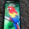 user4270715172611