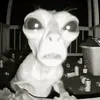 muaha_7