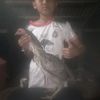 fkf.djd7
