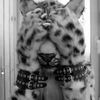 13josephine123