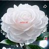 arozali6610