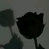 hussain.hussain2665