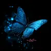 belladonna16093
