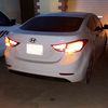 aly11522