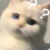 akjk54