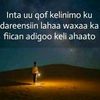 mssgaabo165