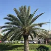 rogirggcc27