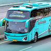 zian3959